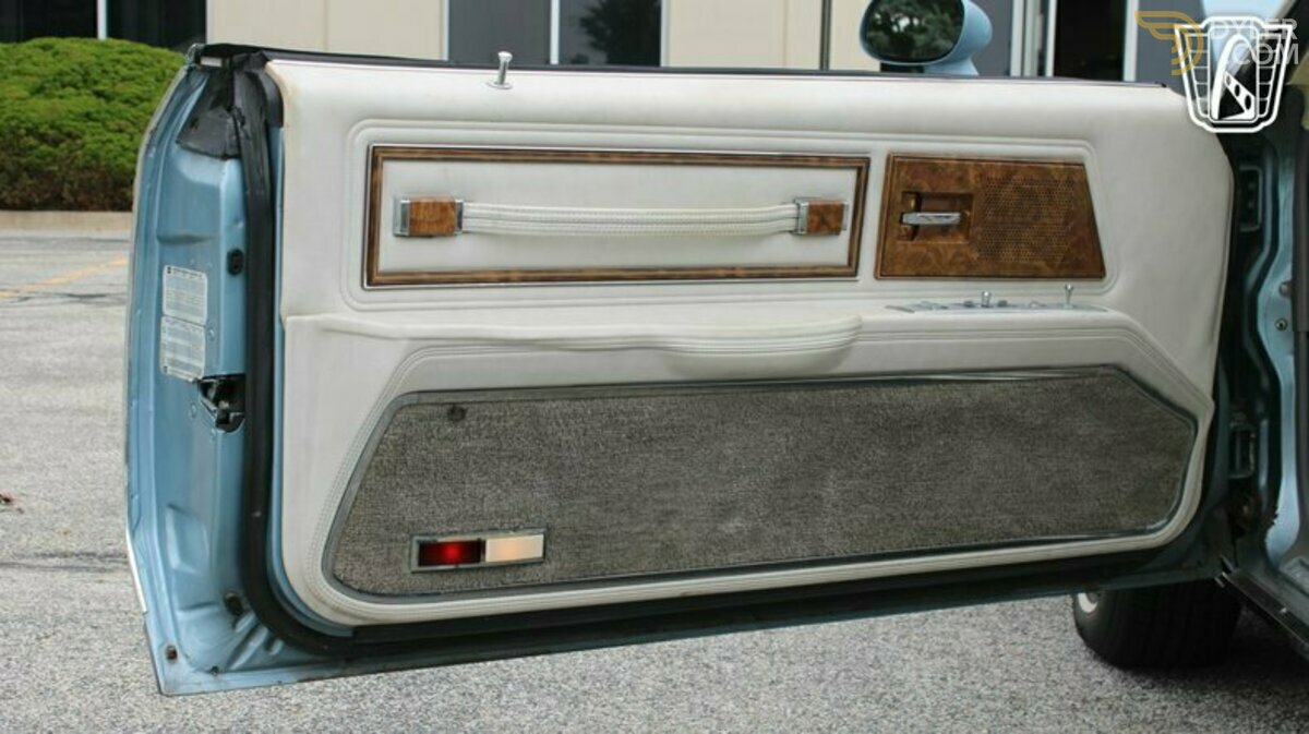 1979 Buick Riviera S-Type, foto 11