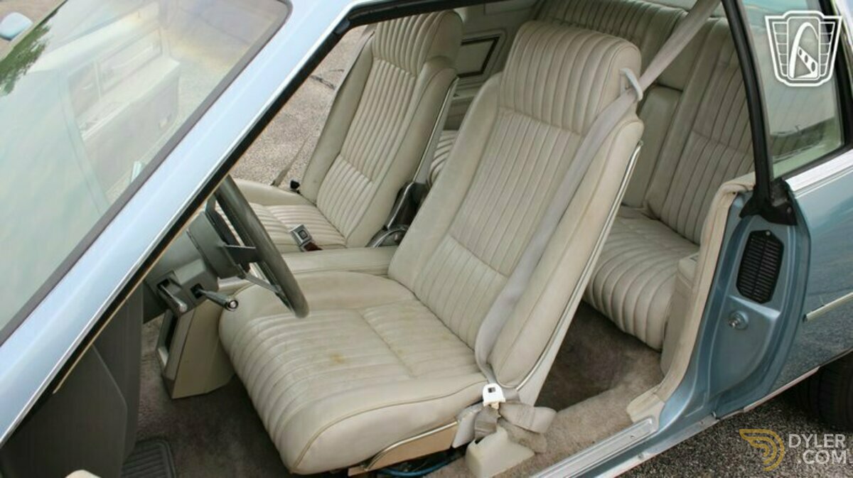 1979 Buick Riviera S-Type, foto 12