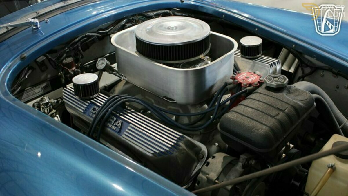 1965 Shelby Cobra Le Mans, foto 12