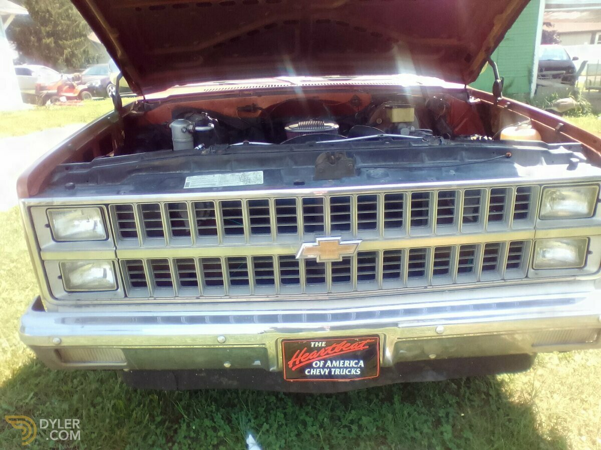 1982 Chevrolet 2 Door Scottsdale, foto 2