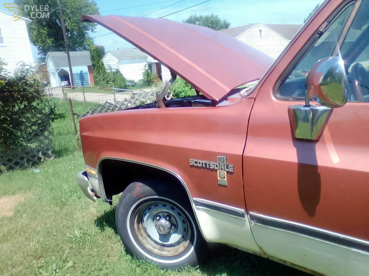 1982 Chevrolet 2 Door Scottsdale, foto 3
