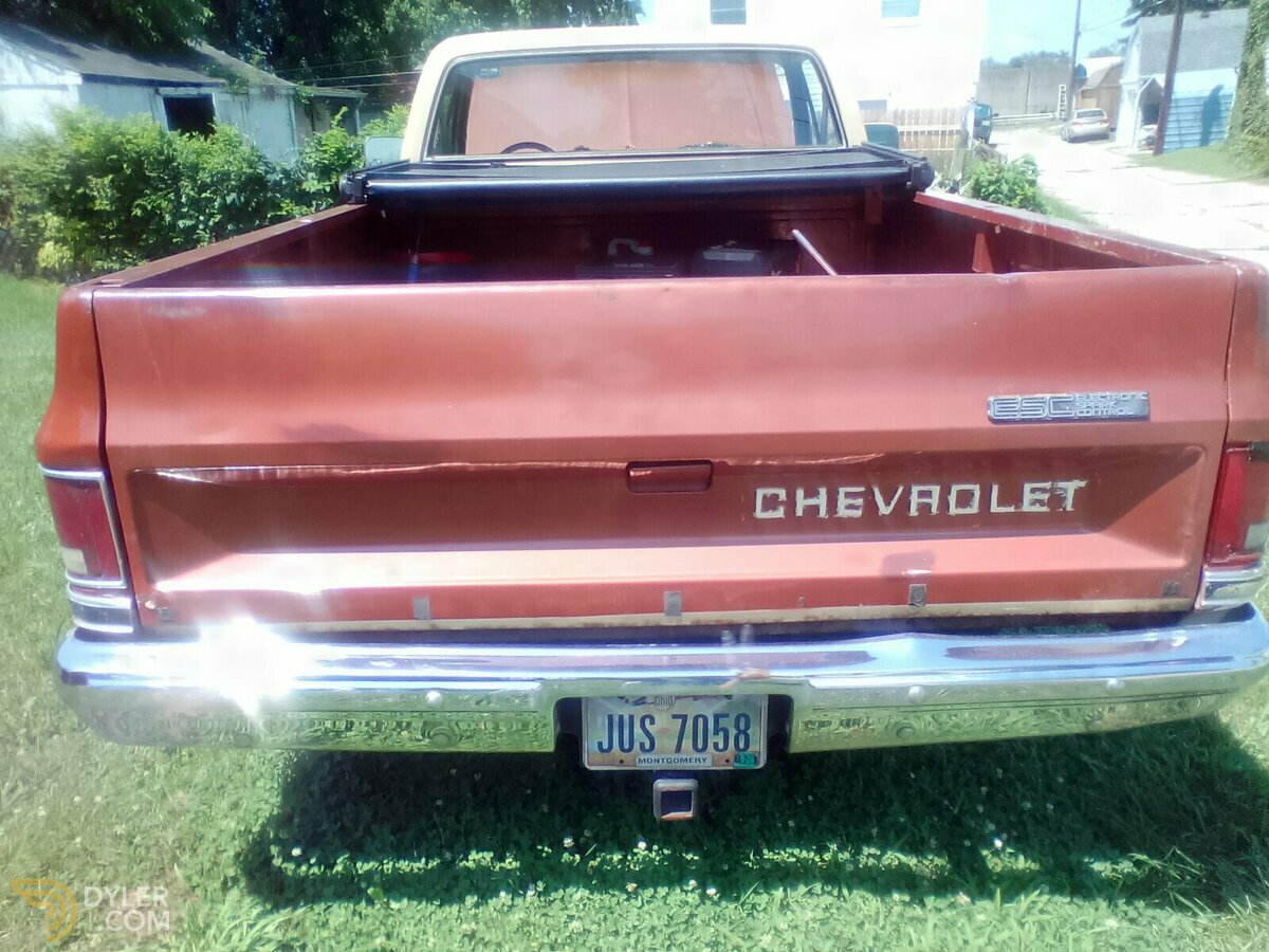 1982 Chevrolet 2 Door Scottsdale, foto 7