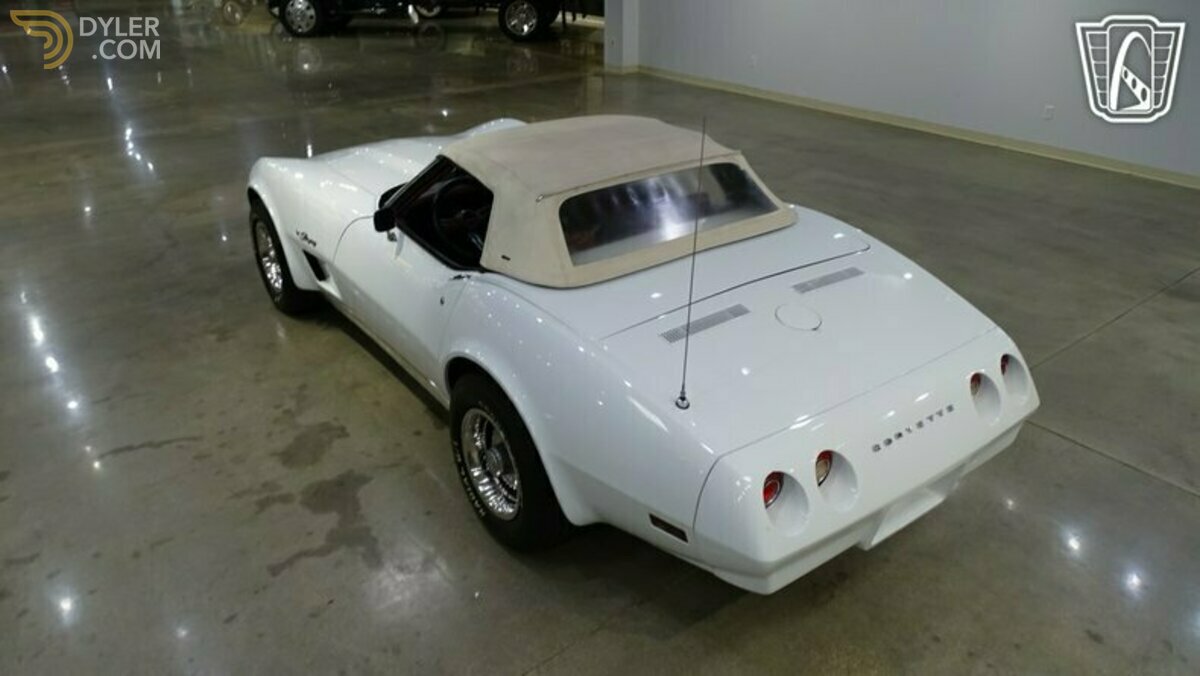 1974 Chevrolet Corvette Sting Ray, foto 8