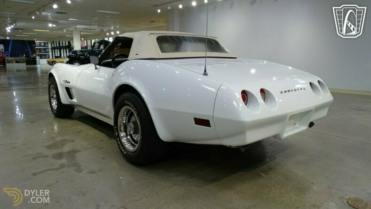 1974 Chevrolet Corvette Sting Ray, foto 9
