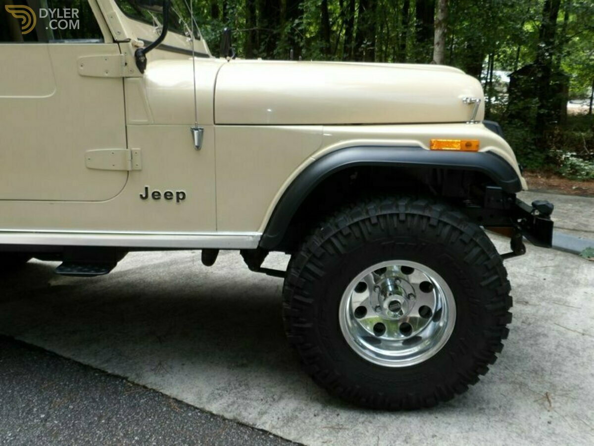 1979 Jeep Willys 4x4 V8, foto 8