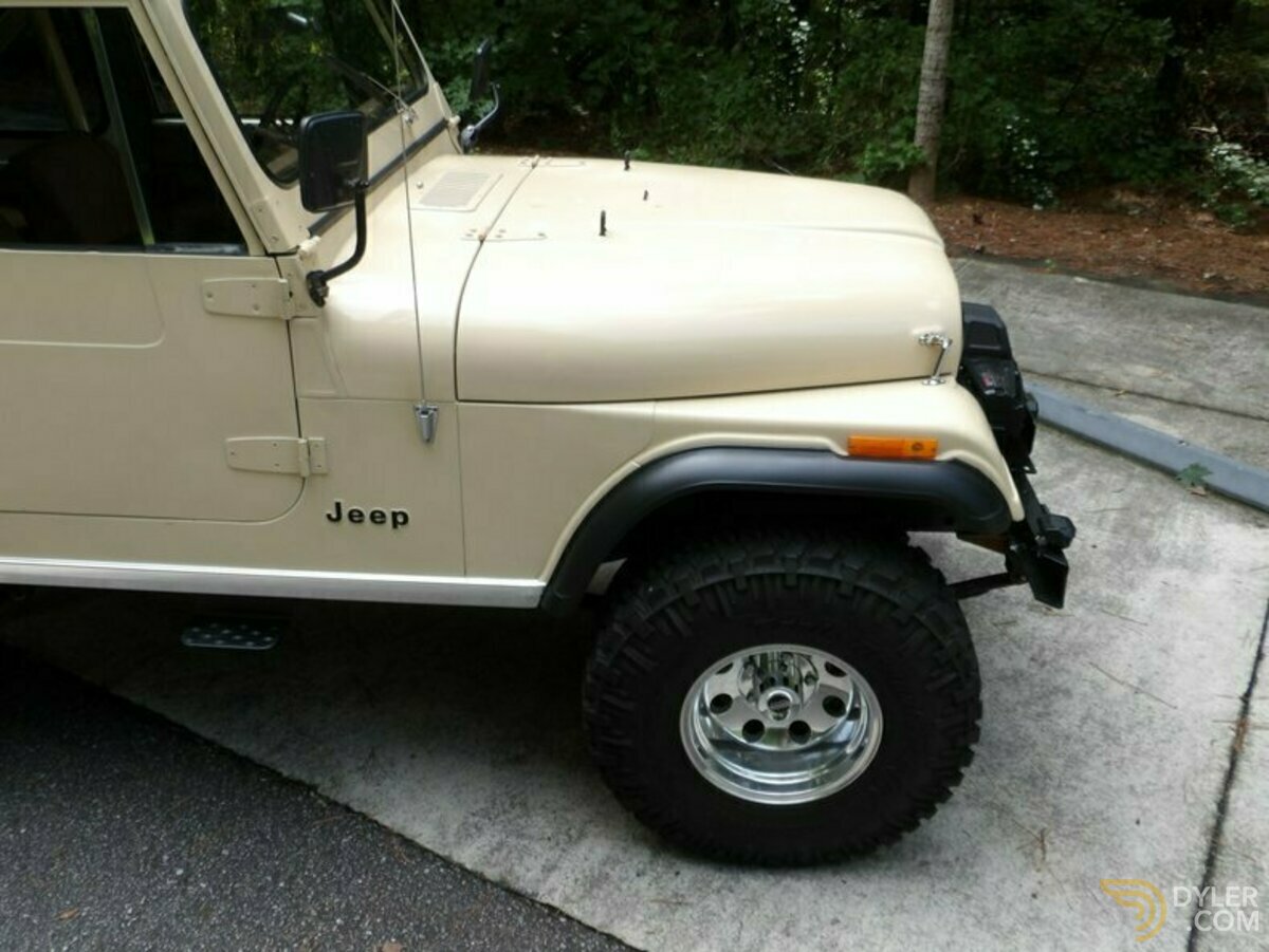 1979 Jeep Willys 4x4 V8, foto 9