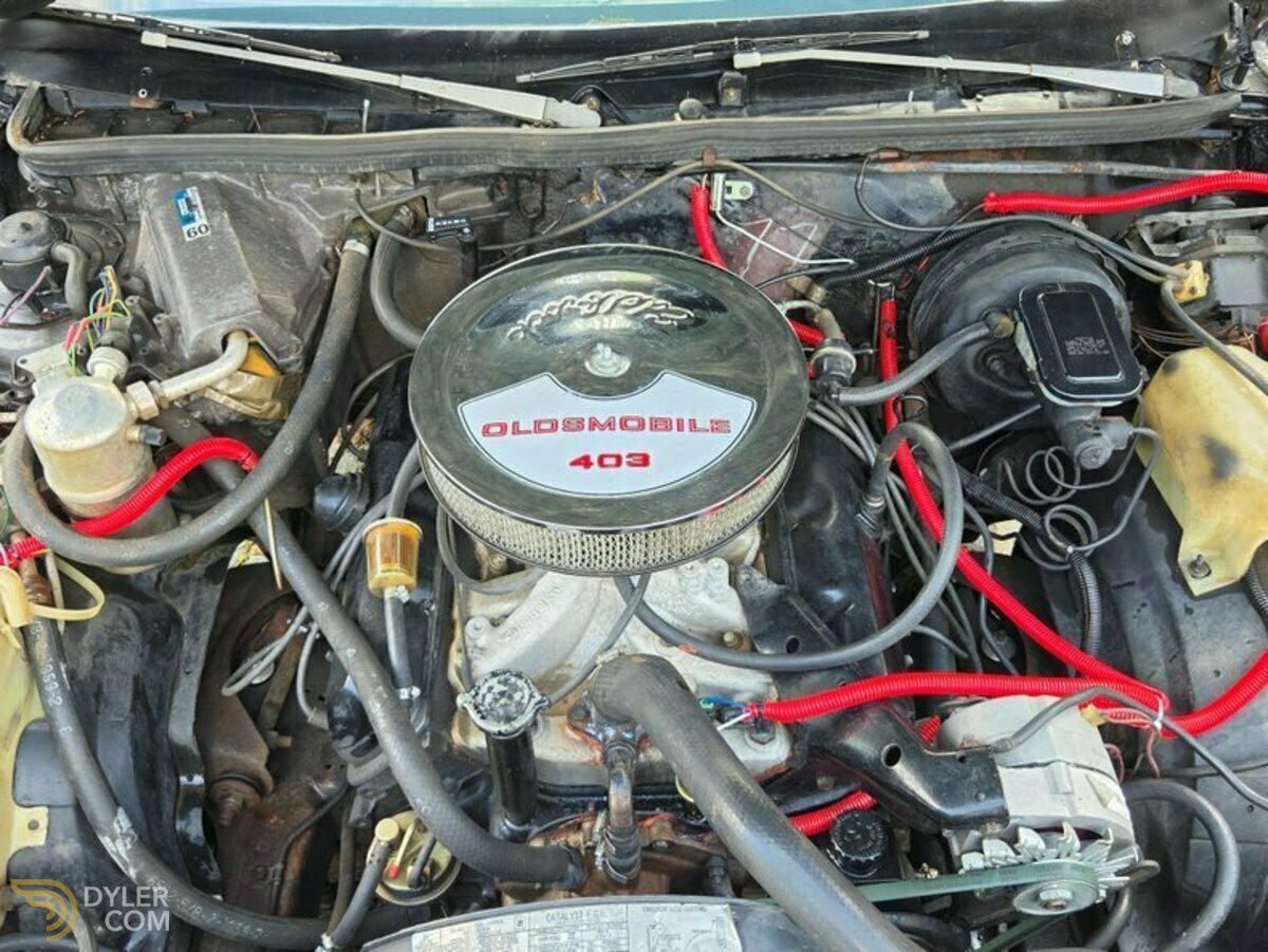 1979 Oldsmobile Cutlass, foto 8