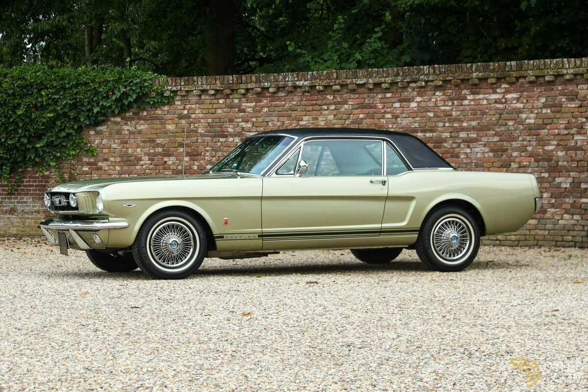 1966 Ford Mustang GT, foto 11