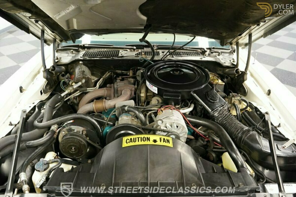 1980 Pontiac Firebird Trans Am Turbo Pace Car, foto 3