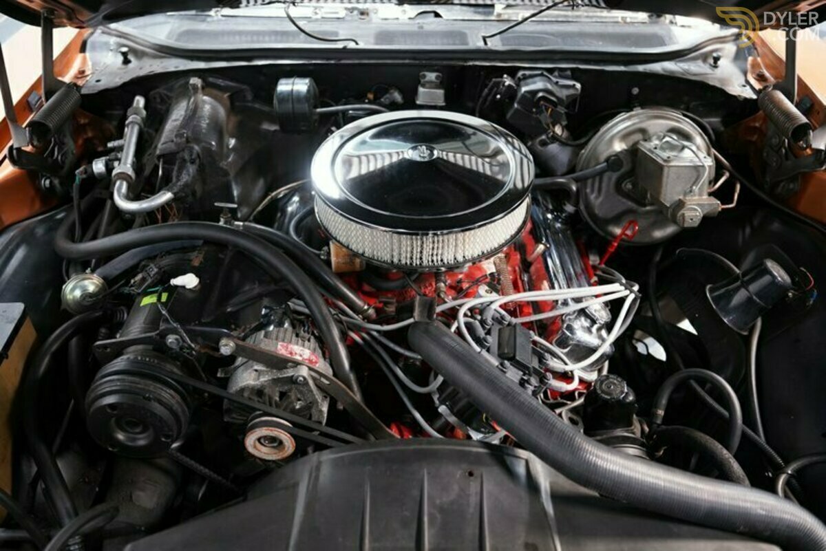 1972 Buick Skylark GS 350, foto 3