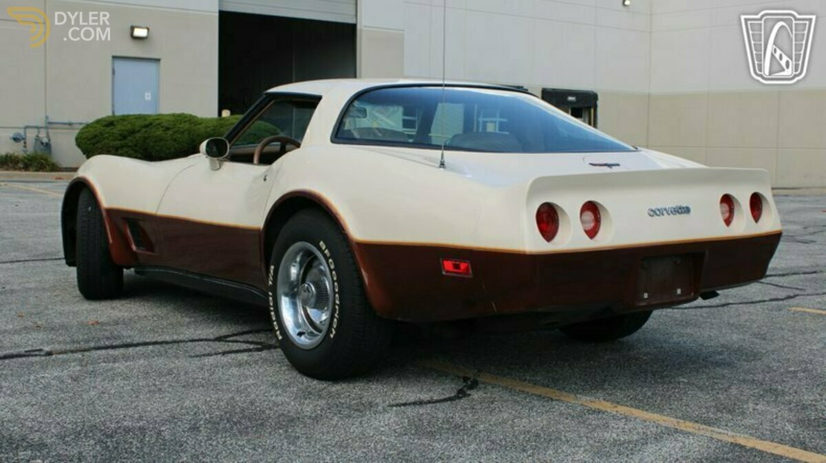 1981 Chevrolet Corvette, foto 4