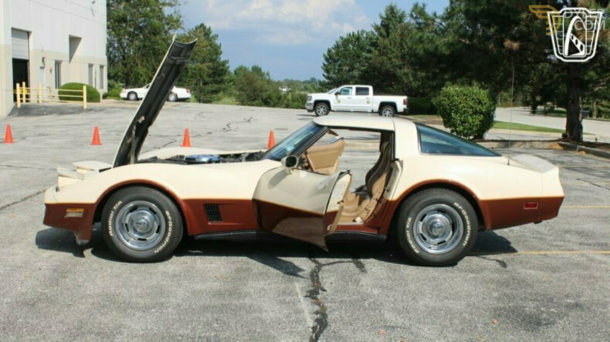 1981 Chevrolet Corvette, foto 8