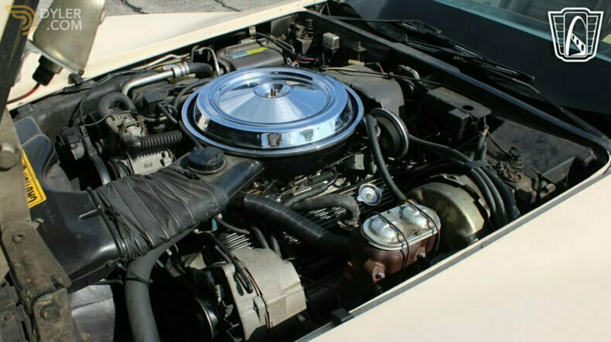 1981 Chevrolet Corvette, foto 9