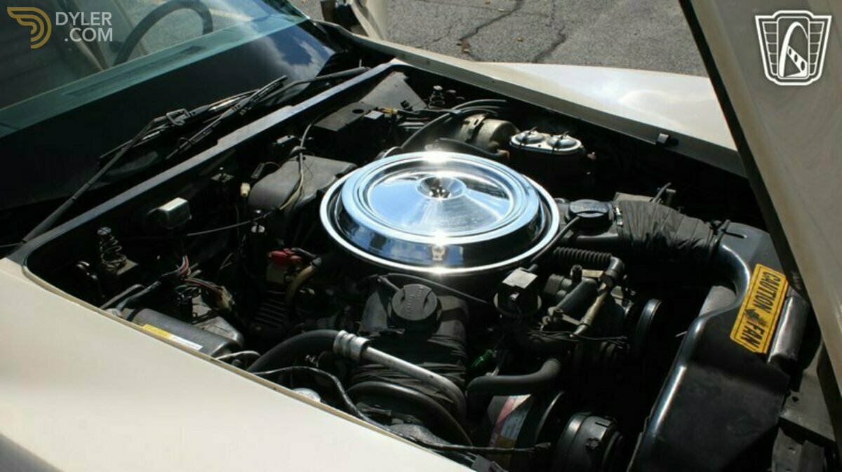 1981 Chevrolet Corvette, foto 10