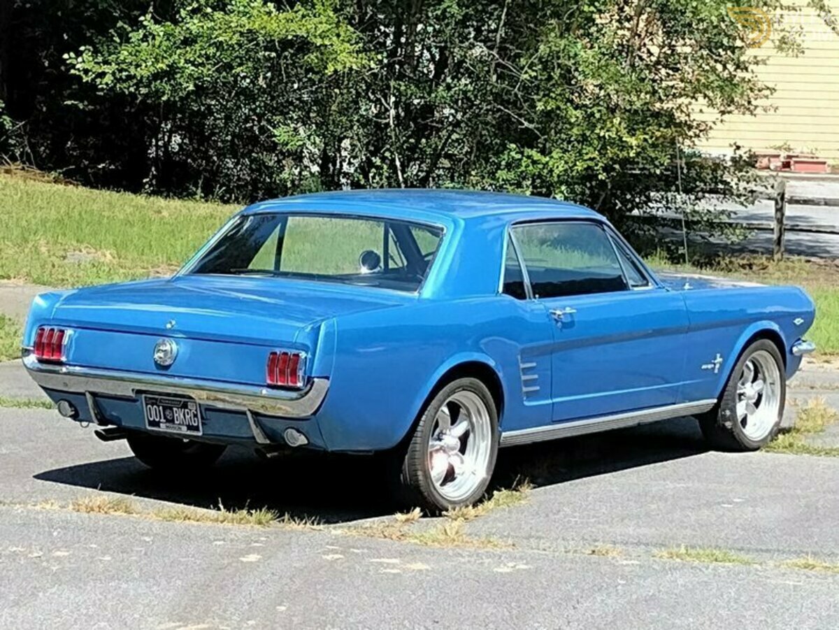 1966 Ford Mustang C-Code 289, foto 3