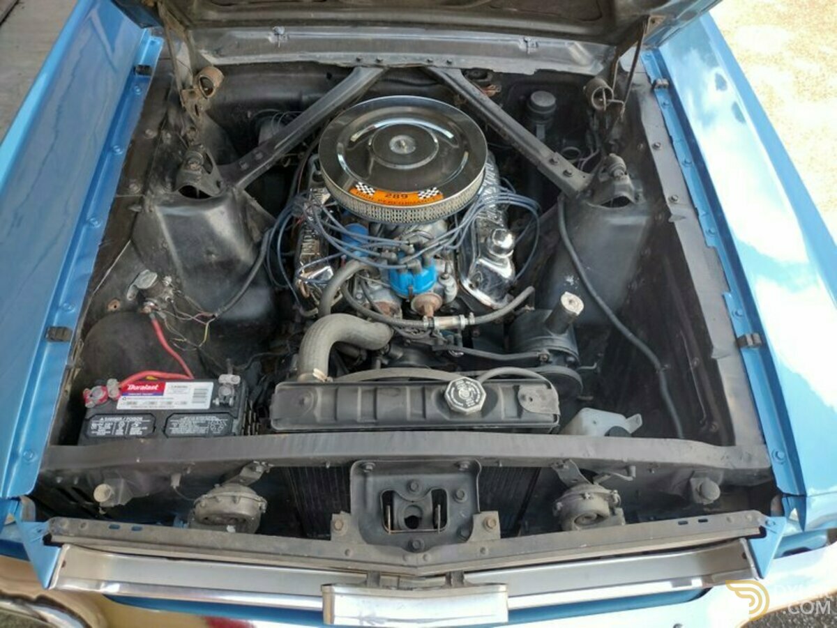1966 Ford Mustang C-Code 289, foto 6