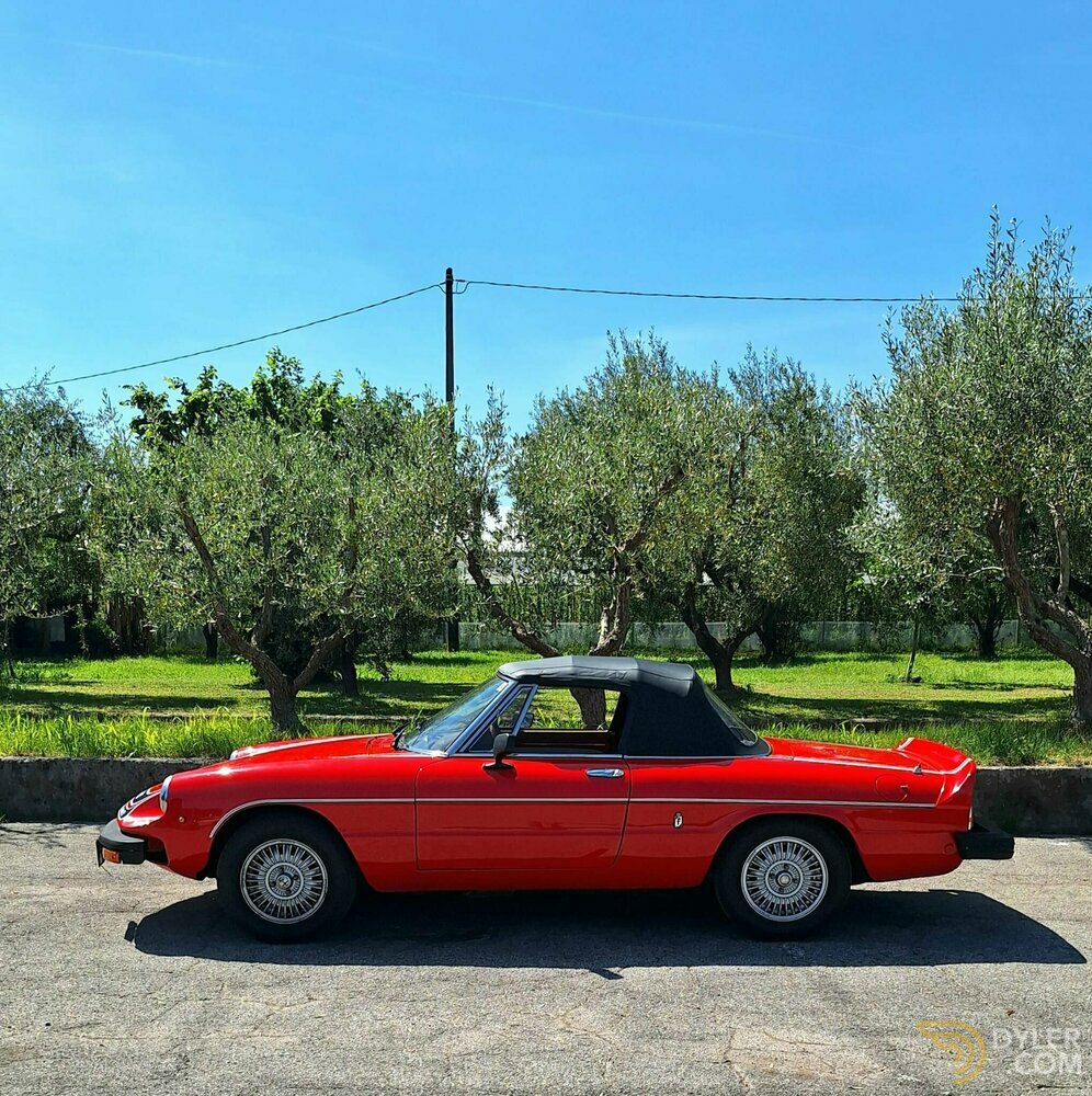 1978 Alfa Romeo Spider Duetto 2.0 Veloce NIKI LAUDA F1 - N 154 di 350, foto 5
