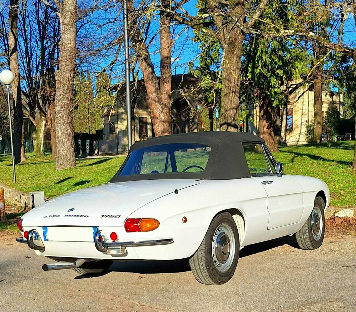 1969 Alfa Romeo Spider Duetto 1750 Osso di Seppia - RESTAURO TOTALE, foto 2