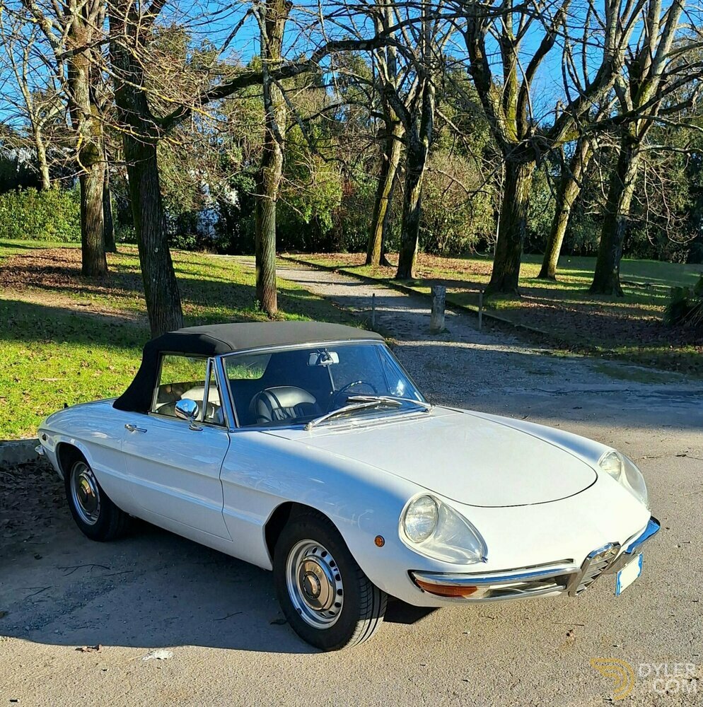 1969 Alfa Romeo Spider Duetto 1750 Osso di Seppia - RESTAURO TOTALE, foto 3