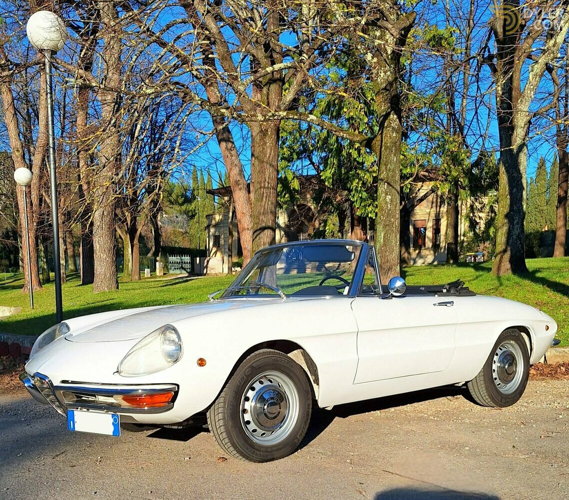 1969 Alfa Romeo Spider Duetto 1750 Osso di Seppia - RESTAURO TOTALE, foto 1