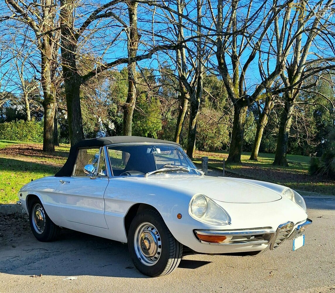 1969 Alfa Romeo Spider Duetto 1750 Osso di Seppia - RESTAURO TOTALE, foto 4
