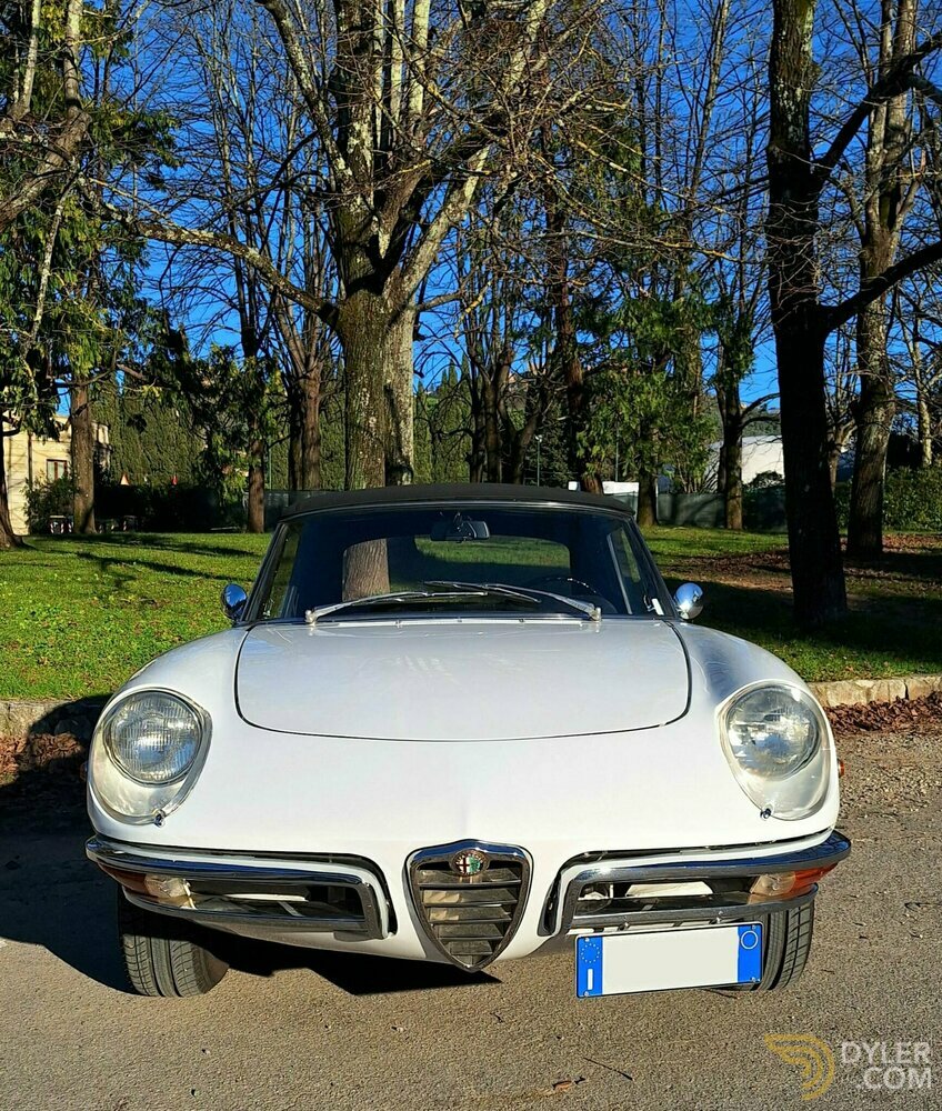1969 Alfa Romeo Spider Duetto 1750 Osso di Seppia - RESTAURO TOTALE, foto 5