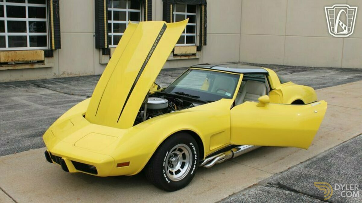 1979 Chevrolet Corvette, foto 8