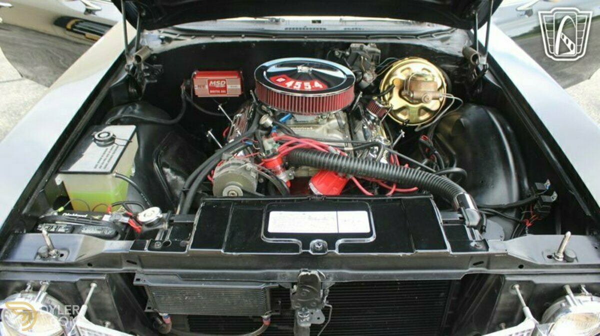 1971 Buick Skylark, foto 10