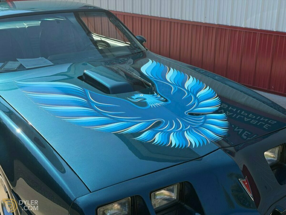 1979 Pontiac Firebird Trans Am Trans Am, foto 3