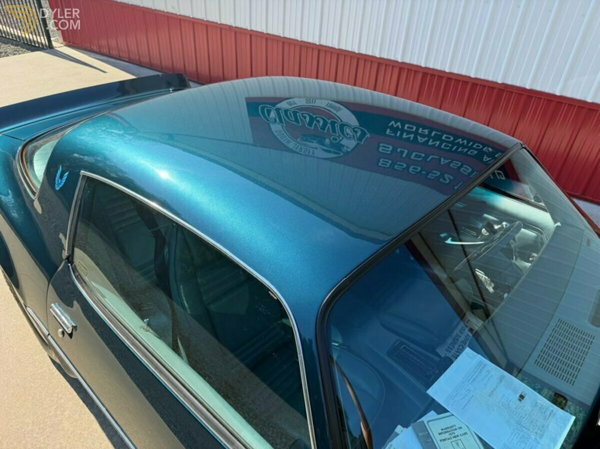 1979 Pontiac Firebird Trans Am Trans Am, foto 12