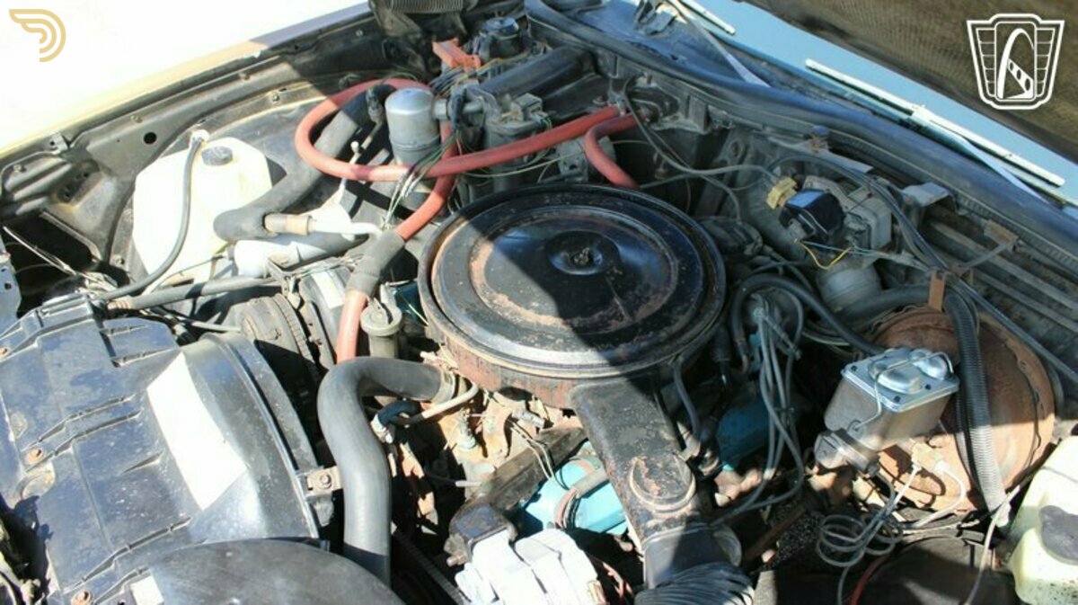 1977 Buick LeSabre Estate Wagon, foto 9