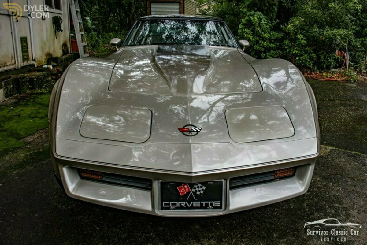 1982 Chevrolet Corvette Collector Edition, foto 2