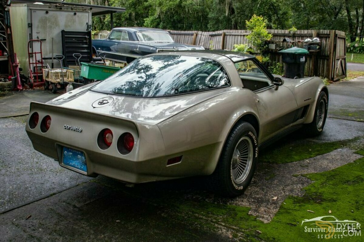 1982 Chevrolet Corvette Collector Edition, foto 4