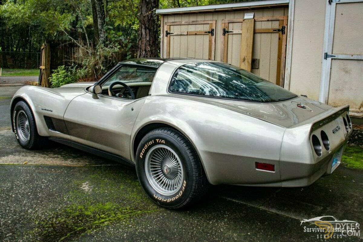 1982 Chevrolet Corvette Collector Edition, foto 6