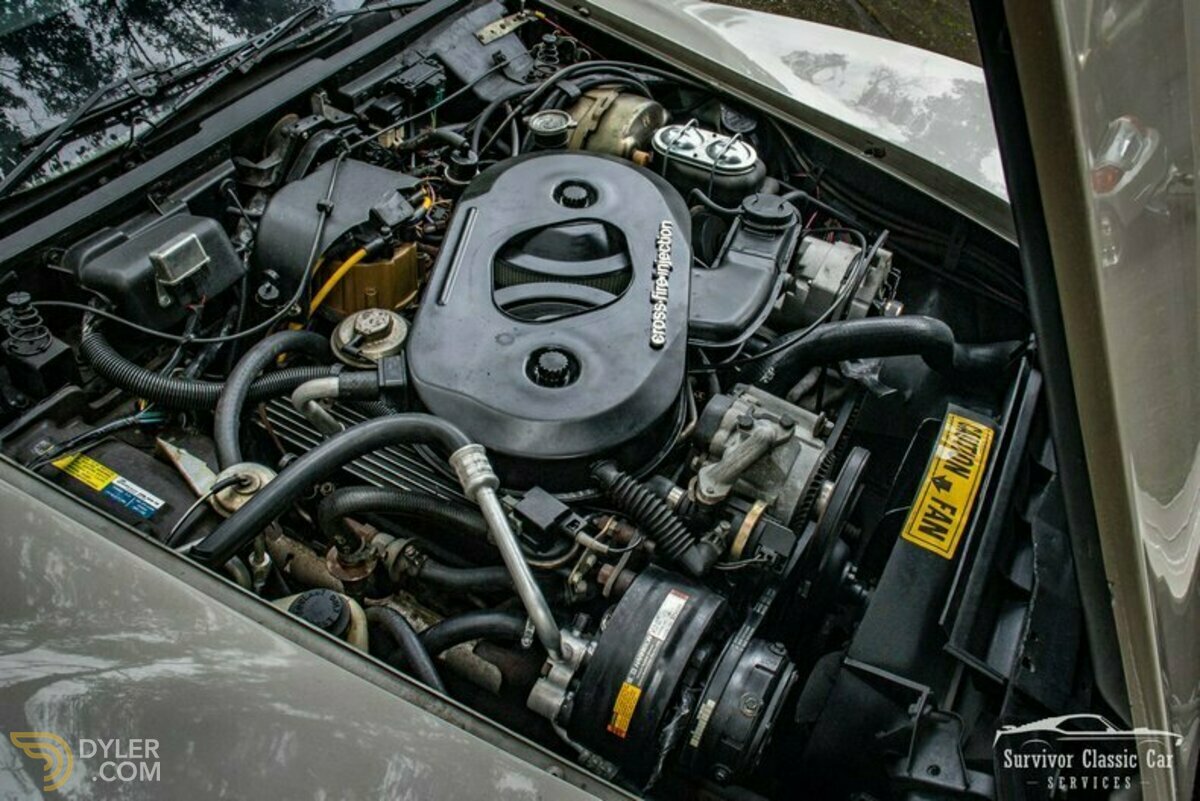 1982 Chevrolet Corvette Collector Edition, foto 11