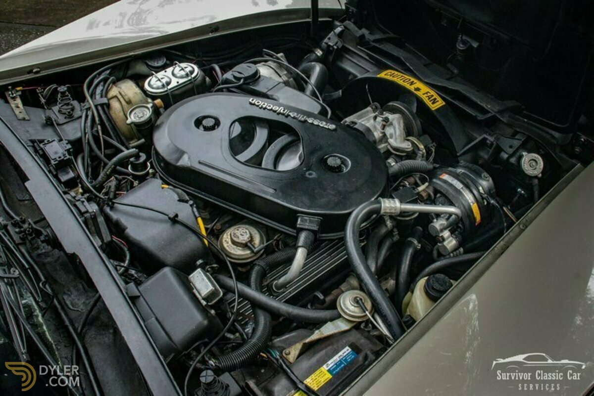 1982 Chevrolet Corvette Collector Edition, foto 12