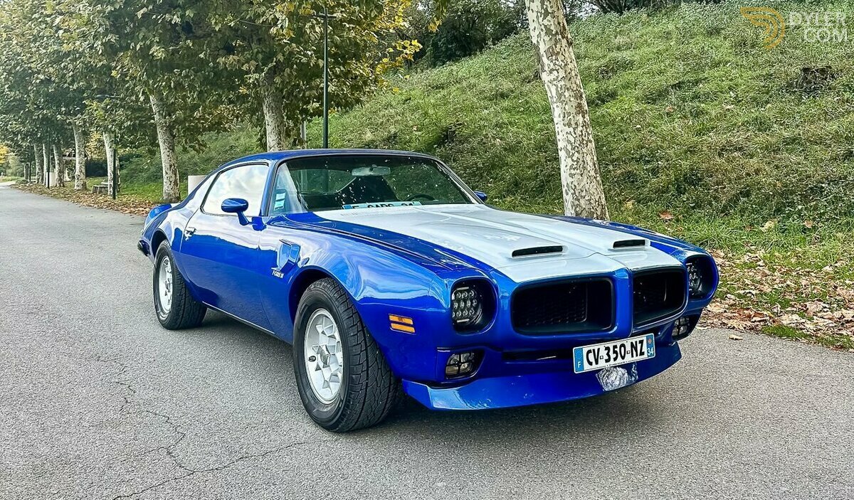 1972 Pontiac Firebird Formula 400, foto 6
