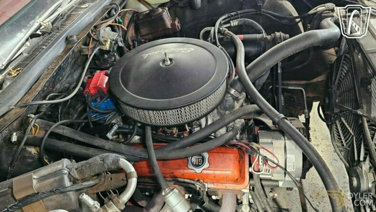 1973 Chevrolet Caprice, foto 8