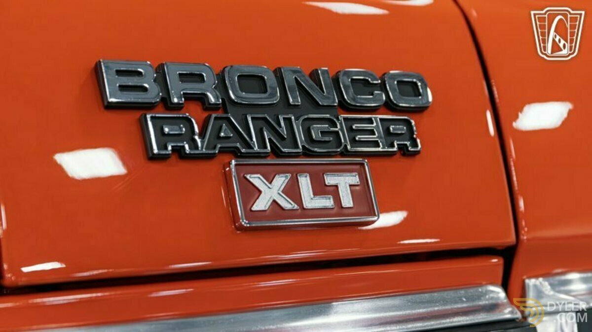1979 Ford Bronco, foto 9