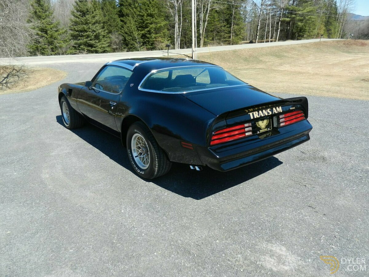 1978 Pontiac Firebird Trans Am, foto 6