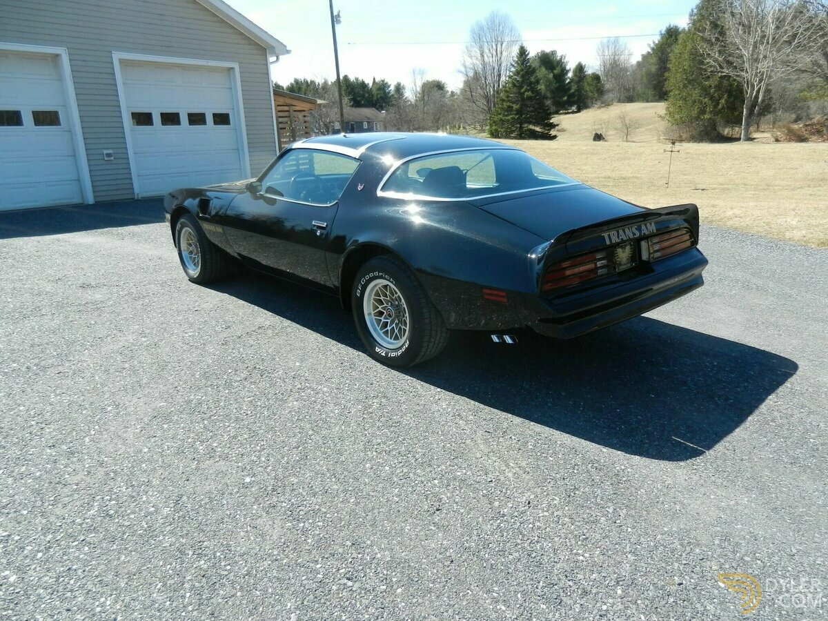 1978 Pontiac Firebird Trans Am, foto 7