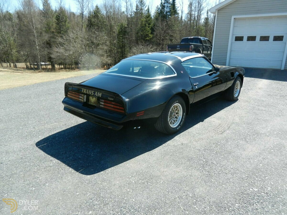 1978 Pontiac Firebird Trans Am, foto 8