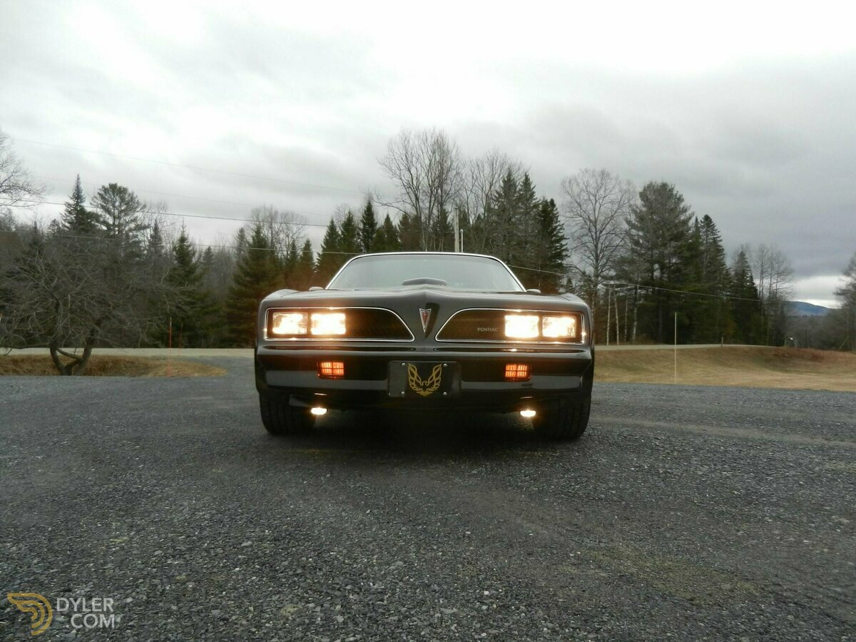 1978 Pontiac Firebird Trans Am, foto 9