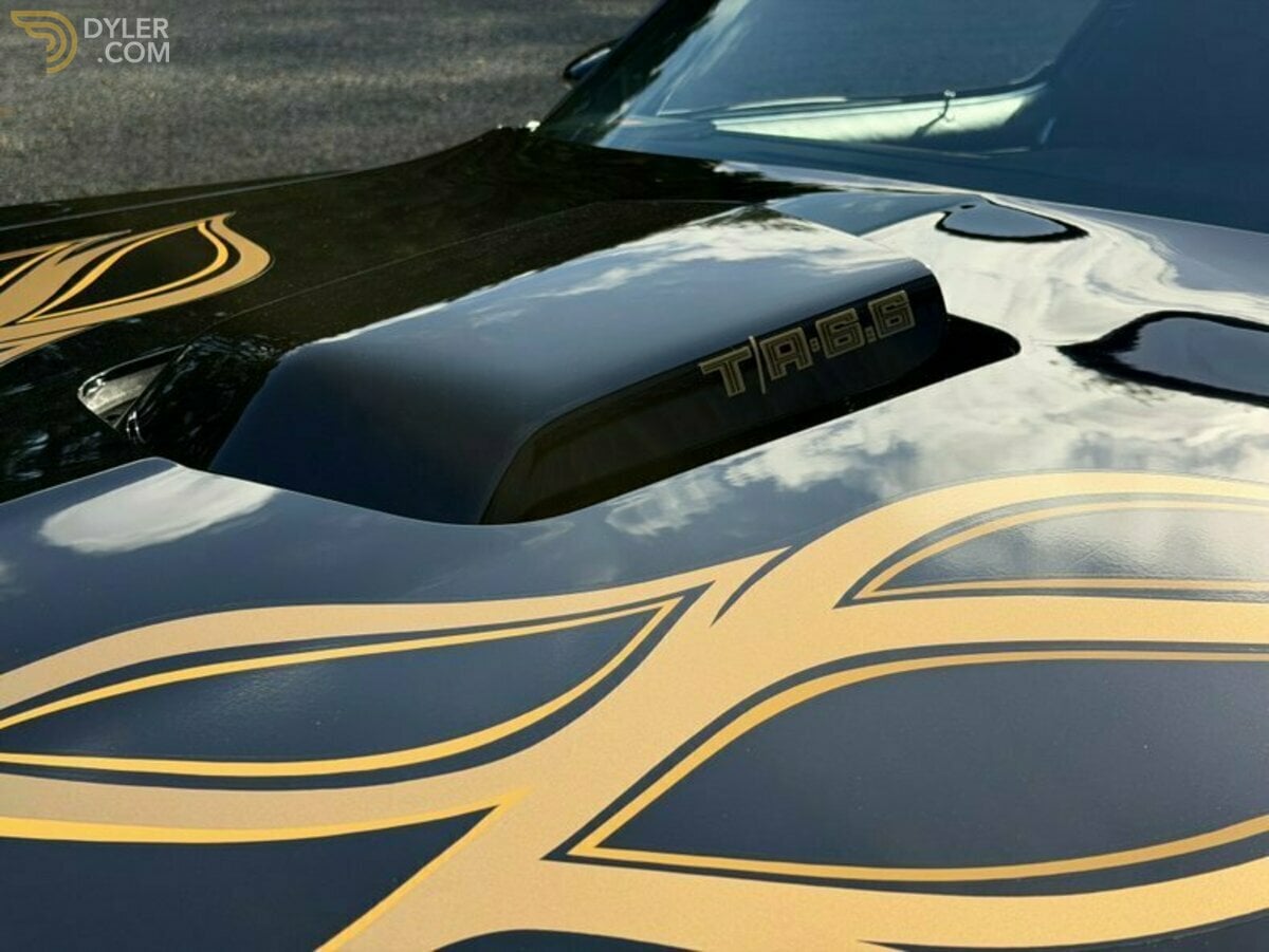 1978 Pontiac Firebird Trans Am Trans Am, foto 8