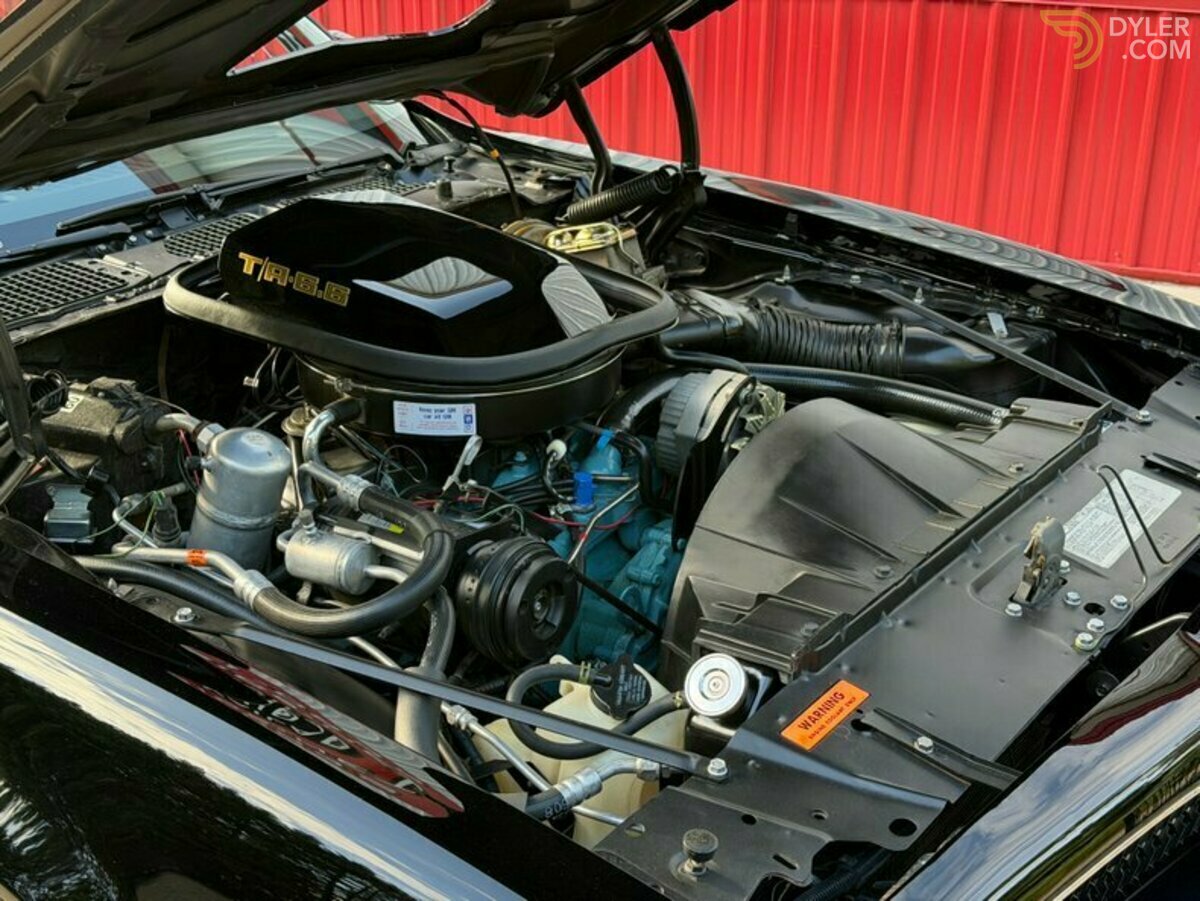 1978 Pontiac Firebird Trans Am Trans Am, foto 12