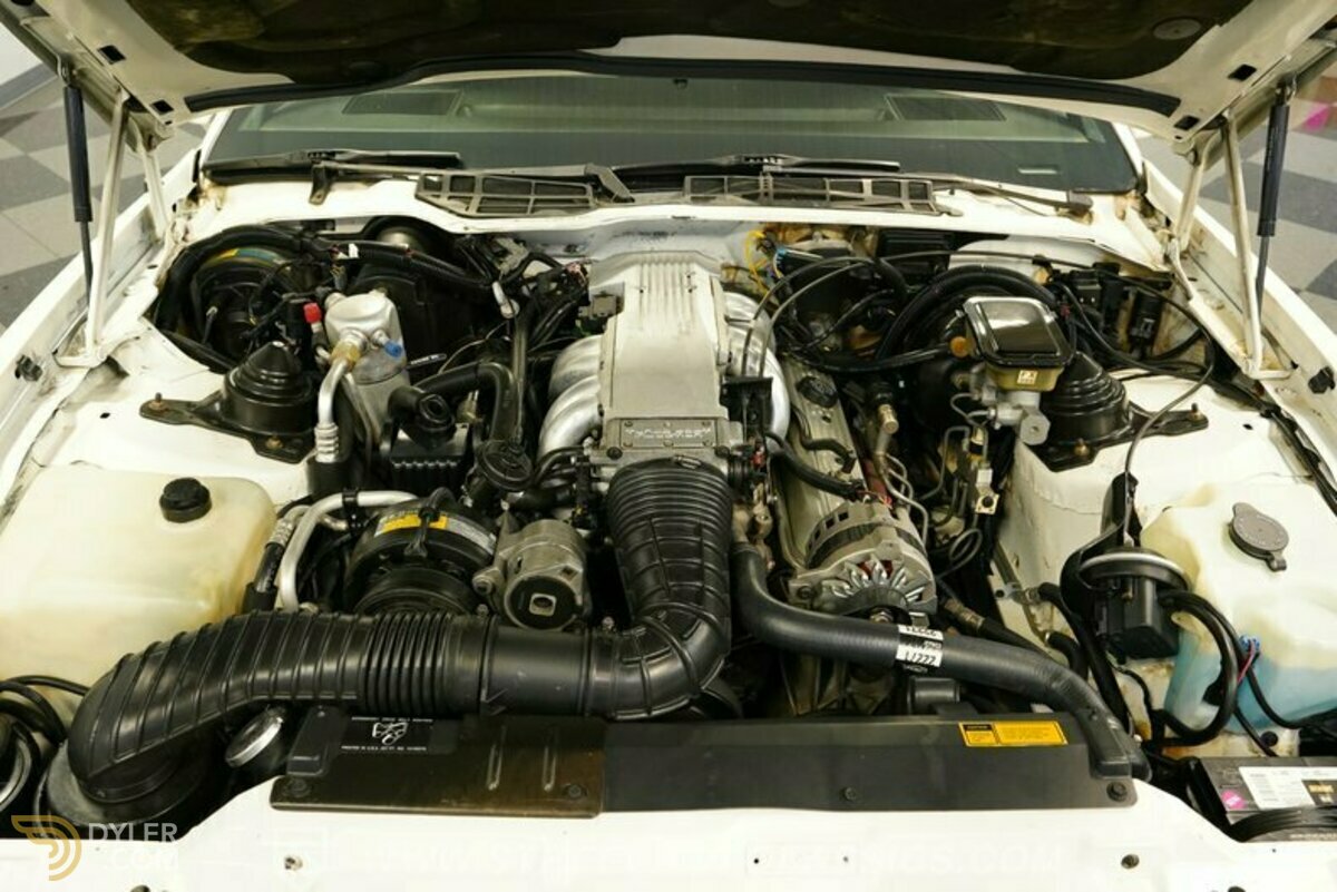 1989 Pontiac Firebird Trans Am WS6, foto 3