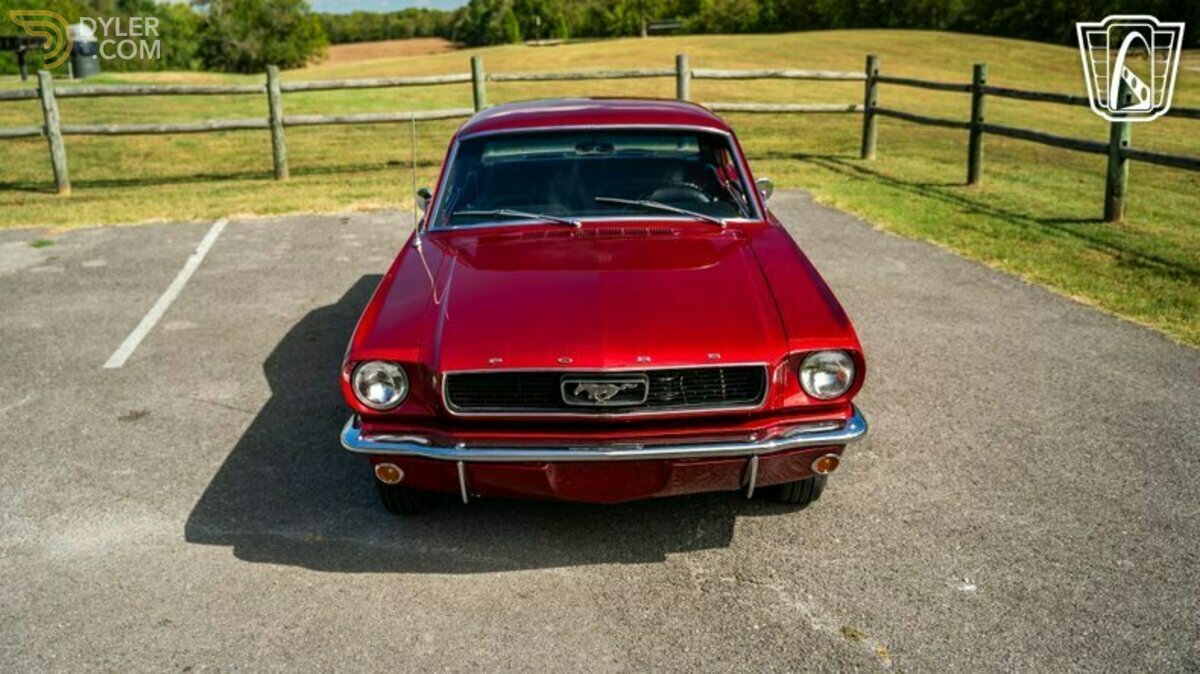 1966 Ford Mustang, foto 2