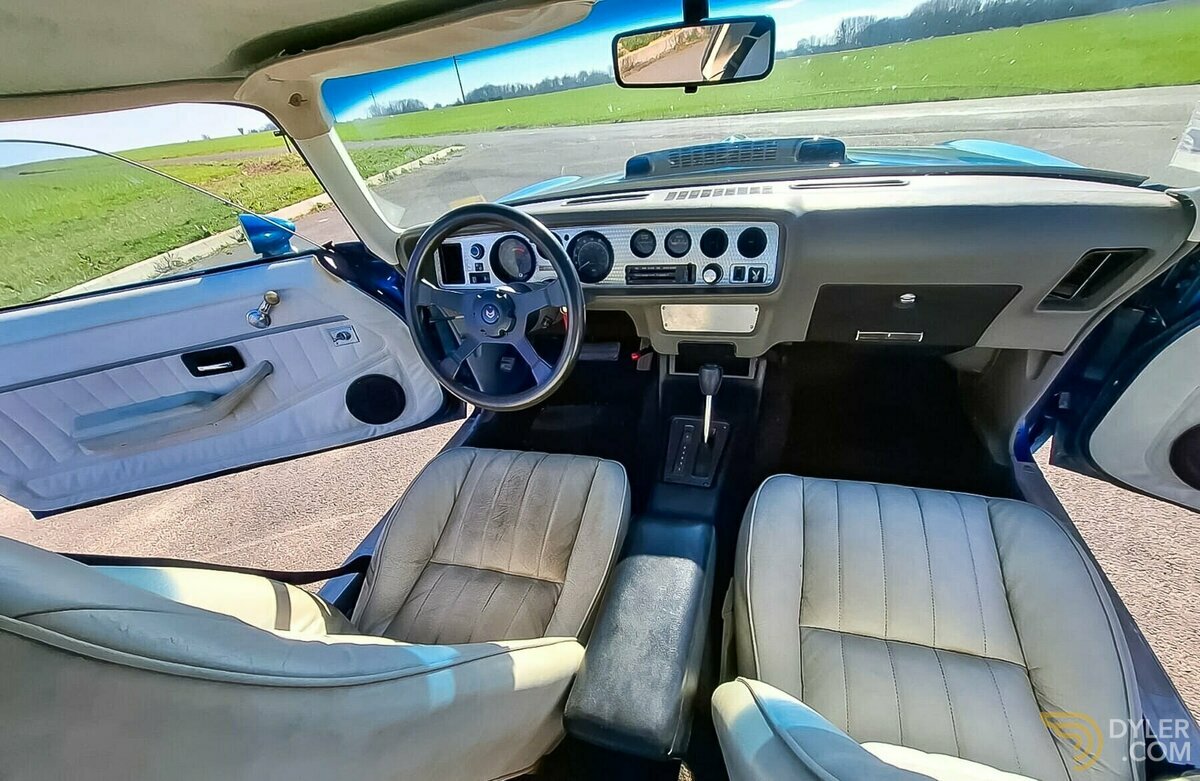 1979 Pontiac Firebird Trans Am 5,7, foto 8