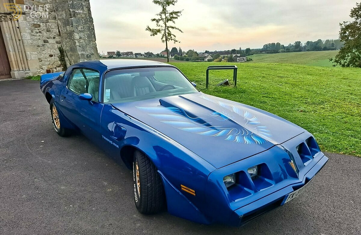 1979 Pontiac Firebird Trans Am 5,7, foto 7