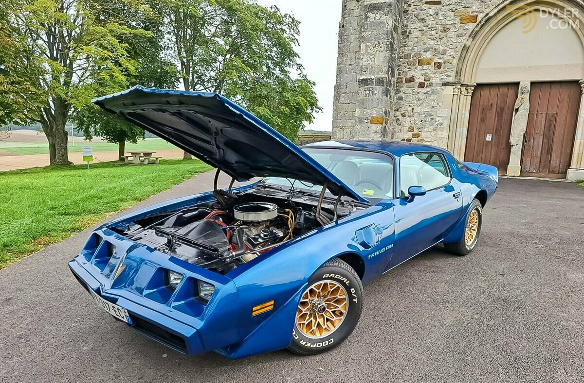 1979 Pontiac Firebird Trans Am 5,7, foto 12